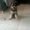 ealfonso89