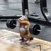 hoangvy411