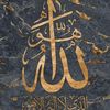 aliwaly406