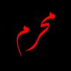 dr.syed.zafar.ali