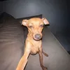 phuocw5