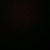 jelle_0548