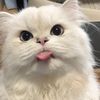 mello.mie