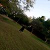 yifah_citron16