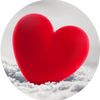user31229588