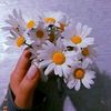 aarr11223344aa