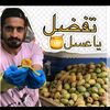 mahmoudb411