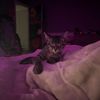 emmad_517