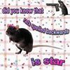 shaquille__oatmeals
