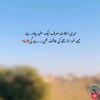 chhammadjutt403