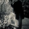 _vif33