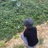 lita_tah