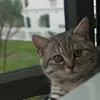 nttm0_0