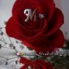 user3427015253849