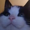 sailorlacey