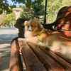 maks_30.09.2020