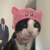 cronchycat_