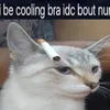 drpavel