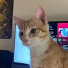 ryan.magnus0n