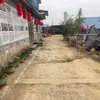 haivuong096