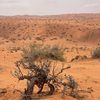 abdulmajeed_515