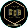 amer231179