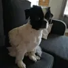 jutta_emilia