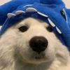 0reow56