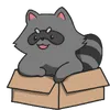 raccoonollywastaken
