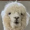 mlnwhtmgnla