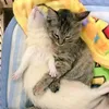 lolskkxlslldoeowpwpdofo