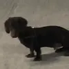 fa_on_tiktok