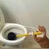 itbeoli