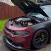 Burgunbee_392