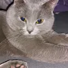mandy270382