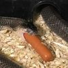 hotdogwaterjuulpod