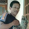 mas_seno