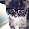 swagminaxd