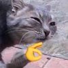 this_is_garbage369