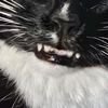 stinkypinkytoecheese