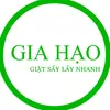 giahaogiatsaylaynhanh