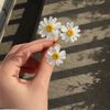 _valliumoon_