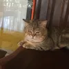 haniiiii791