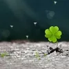 tieuhy_9999