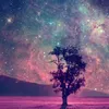_nnii1