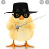 zorro_22