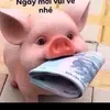 user540932931