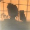 noof_alhrby
