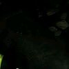 rayyan_6463