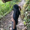 apr_illiana